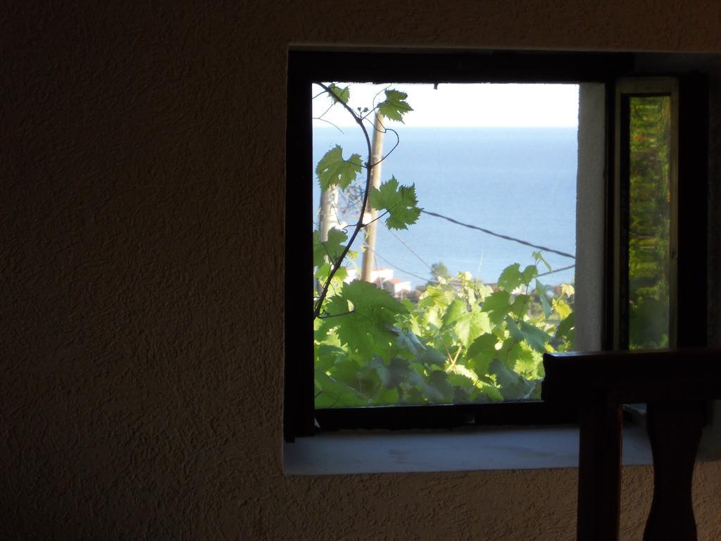 Apartment Djukovic Petrovazzo Esterno foto
